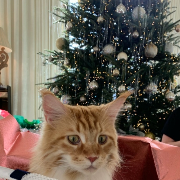 Meet the boys! - Picture 11 of 13